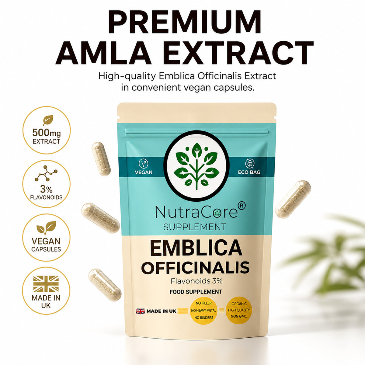 Amla (Emblica Officinalis) Capsules 500mg (3% Flavonoids) – Antioxidant Support