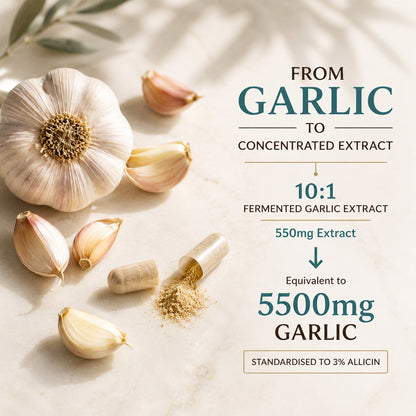 Garlic Capsules 550mg (3% Allicin) – Fermented Garlic Extract, Immune Support